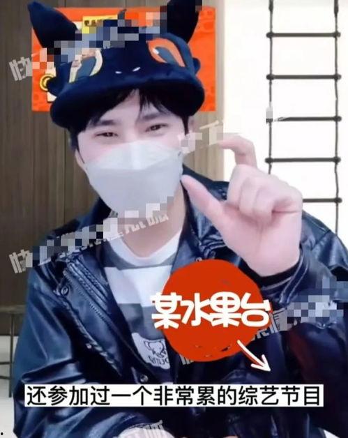 任嘉伦狗仔爆料视频大全,揭秘明星幕后生活点滴