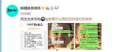 新疆网友爆料新闻,神秘事件引发关注，真相即将揭晓