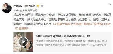作假爆料视频大全最新,最新爆料视频大全深度解析